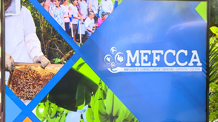 mefcca-lineas-trabajo